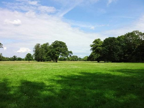 江苏一纸厂半年内被投诉51次，竟是因废气排放问题